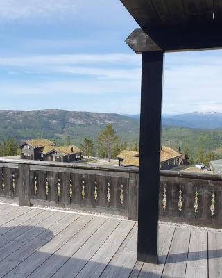 Wonderful cabin with amazing mountain - view