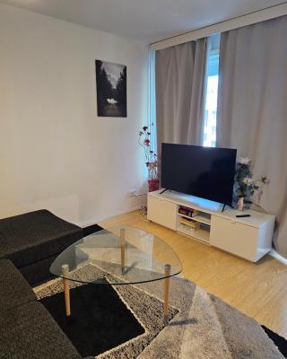 Comfortable 1 bedroom apartment in Helsinki