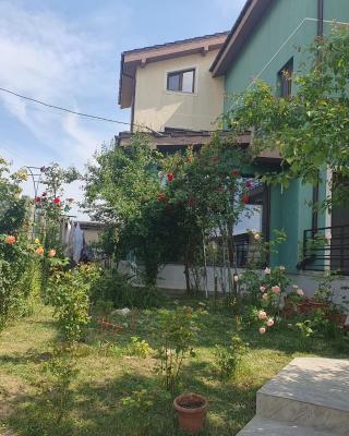 Vila Fara Nume