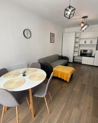 Apartament 29