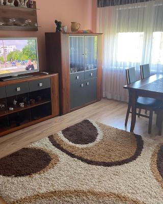 Mieszkanko na Traugutta