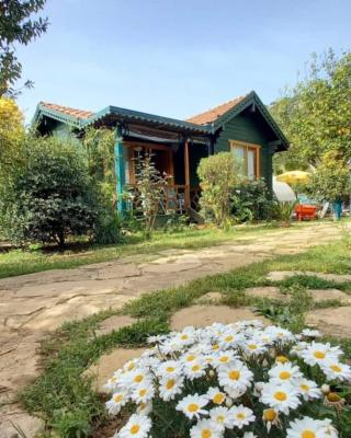Turkuaz Bungalows
