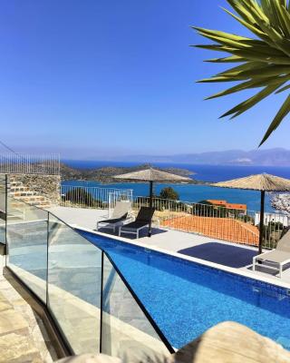 Villa Romee with private swimmingpool and panoramic view on Elounda