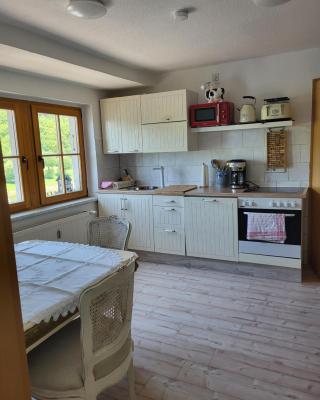 Ferienwohnung Elbblick