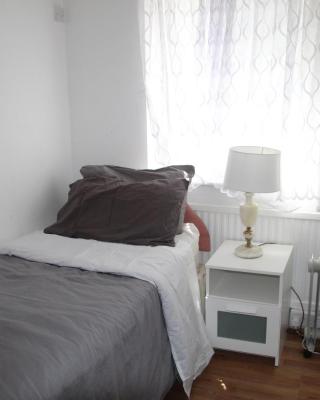 Cozy light single bedroom