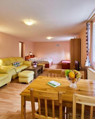 Studio U Šustrů by Interhome