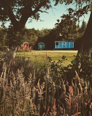 Pipowagens bij Pannenkoekenrestaurant & Camping De Koppenjan 'Een uniek verblijf met kinderspeelboerderij'