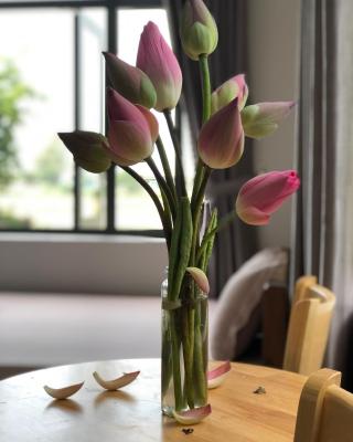 Hương Tràm Homestay