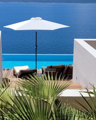 Luxury Apartments Villa Ruzmarina with New heated Infinity Pool and Lounge Area