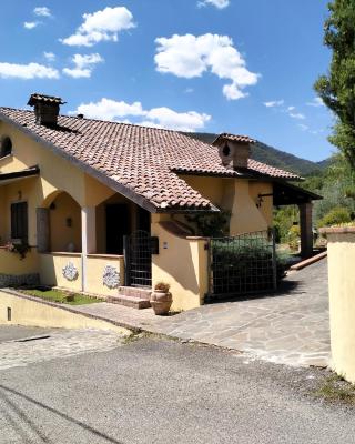 la casa nel bosco