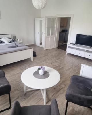 Apartmány Černý Tulipán 4