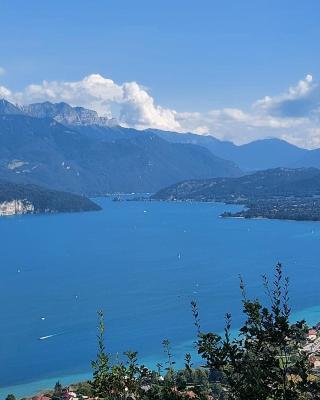 A 200 mètres du lac d'Annecy, spacieux appartement 3 chambres avec terrasse et jardin