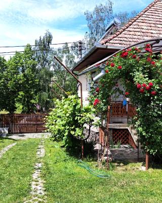 Casa de vacanta Zsenik Vendeghaz