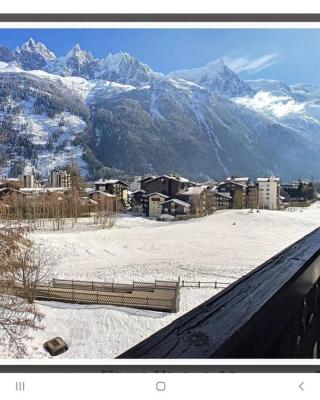 Bel appartement entier en style Chalet à Chamonix