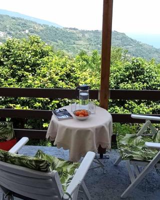Beautiful Pelion Guesthouse with Spectacular Views
