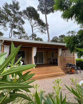 LunaBay Biograd Mobile Home