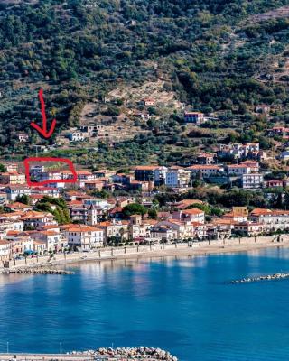 Appartamento LA COFFA (tecnica tradizionale di pesca locale)