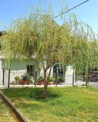 Ξυλοπετρα / Wood & stone house