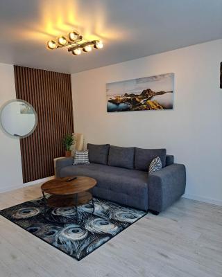 Trumpalaikė apartamentų nuoma centre (Vytauto g.)