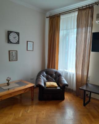 Apartment on Hretska 26/28
