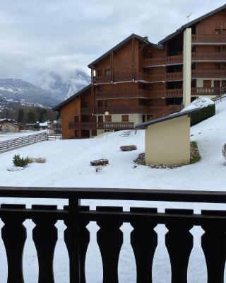 chaleureux T2 à MORILLON