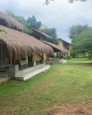 Web of Life Resort Wasgamuwa