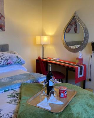 Mountroyal Victorian Studio Self Catering Apartment