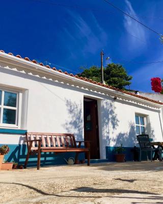 Casa Anneli - relaxing under the olive tree