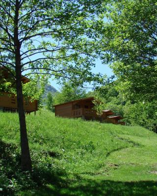 Wood Cabins in the heart of Transylvania