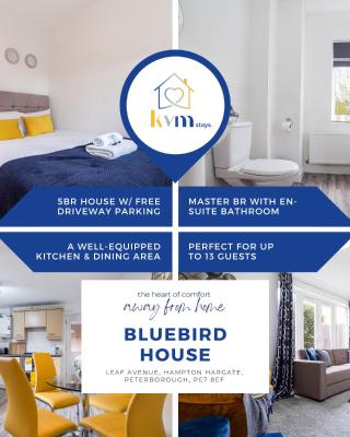 KVM Bluebird House for large groups by KVM Stays