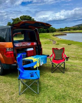 Campervan/Maui hosted by Go Camp Maui