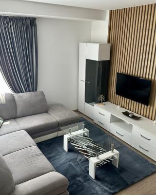 Nix Apartment - Calea Moldovei
