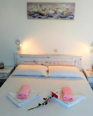 Dolphin Rooms