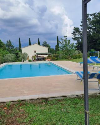 CASA VACANZE L'OLIVO