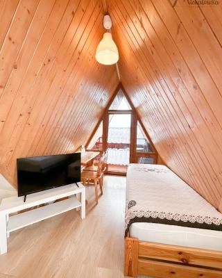 Willa Michałówka Attic