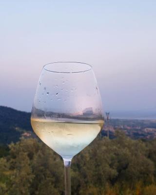 Vinomare Guesthouse