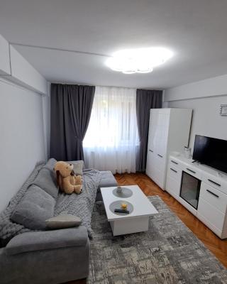 Apartament 2 camere