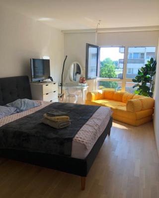 One bedroom 3pieces entire Modern Appartment close to Airport, CERN, Palexpo, public transport to the center of Geneva