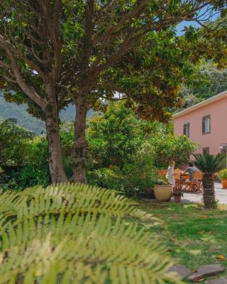 Madeira Surf Lodge