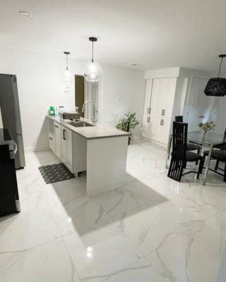 Stylish and luxurious apartment basement unit