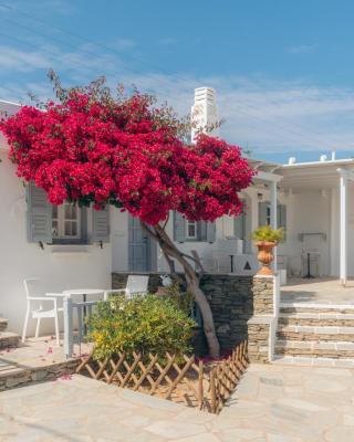 Nostos Sifnos