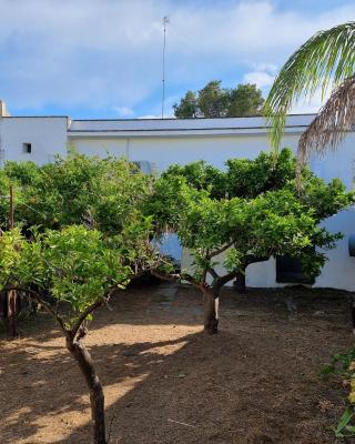 Casa Vacanze Nonna Maria