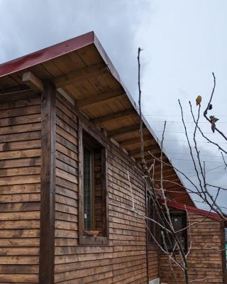 Casa CeDar