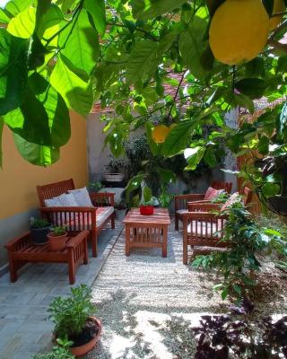 Green House