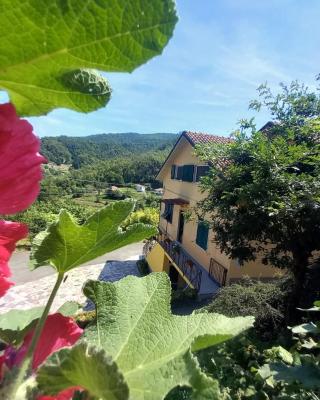 La valle fiorita