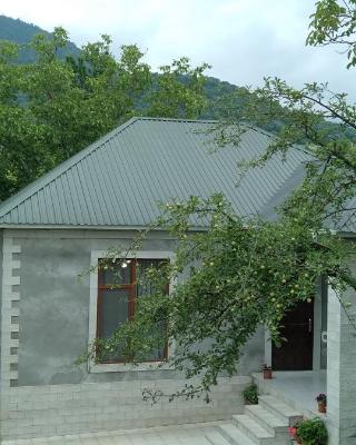 Gabala rent House