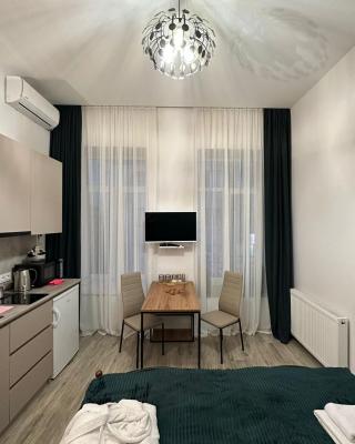Apartment in the center of Tbilisi