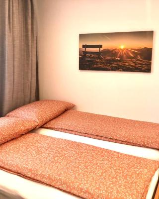 Apartment Deluxe with Garden Rapperswil-Jona