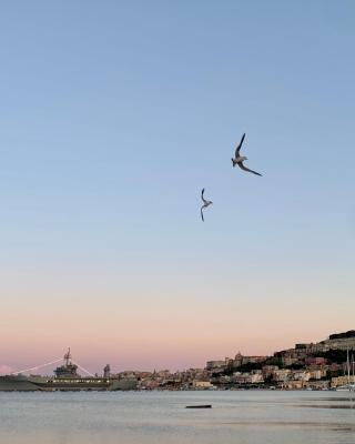 Vico 11