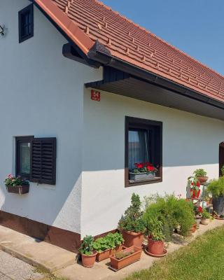 Apartma Vida